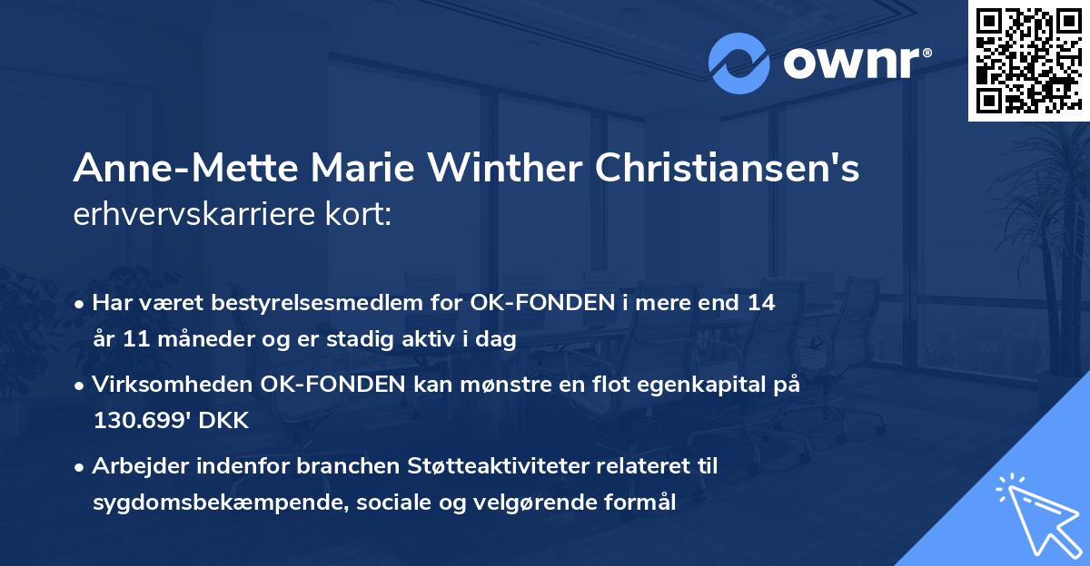 Anne-Mette Marie Winther Christiansen's erhvervskarriere kort