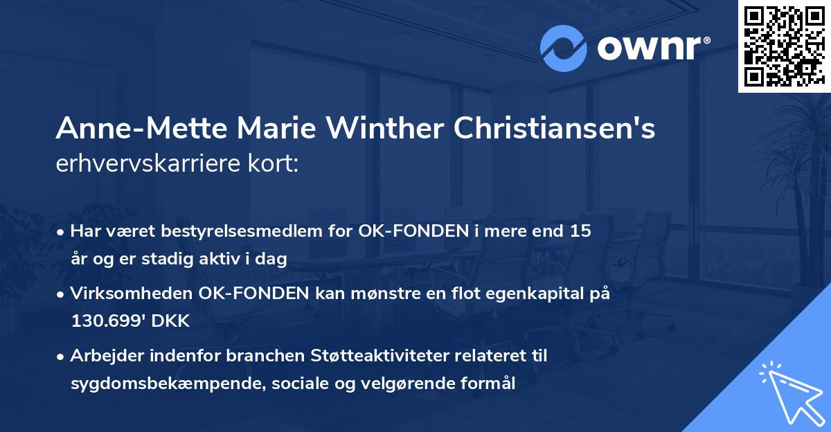 Anne-Mette Marie Winther Christiansen's erhvervskarriere kort