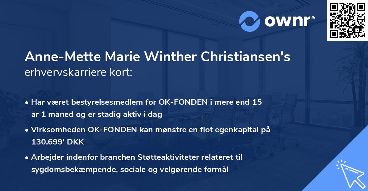 Anne-Mette Marie Winther Christiansen's erhvervskarriere kort