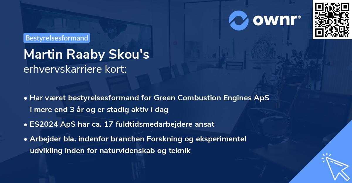 Martin Raaby Skou's erhvervskarriere kort