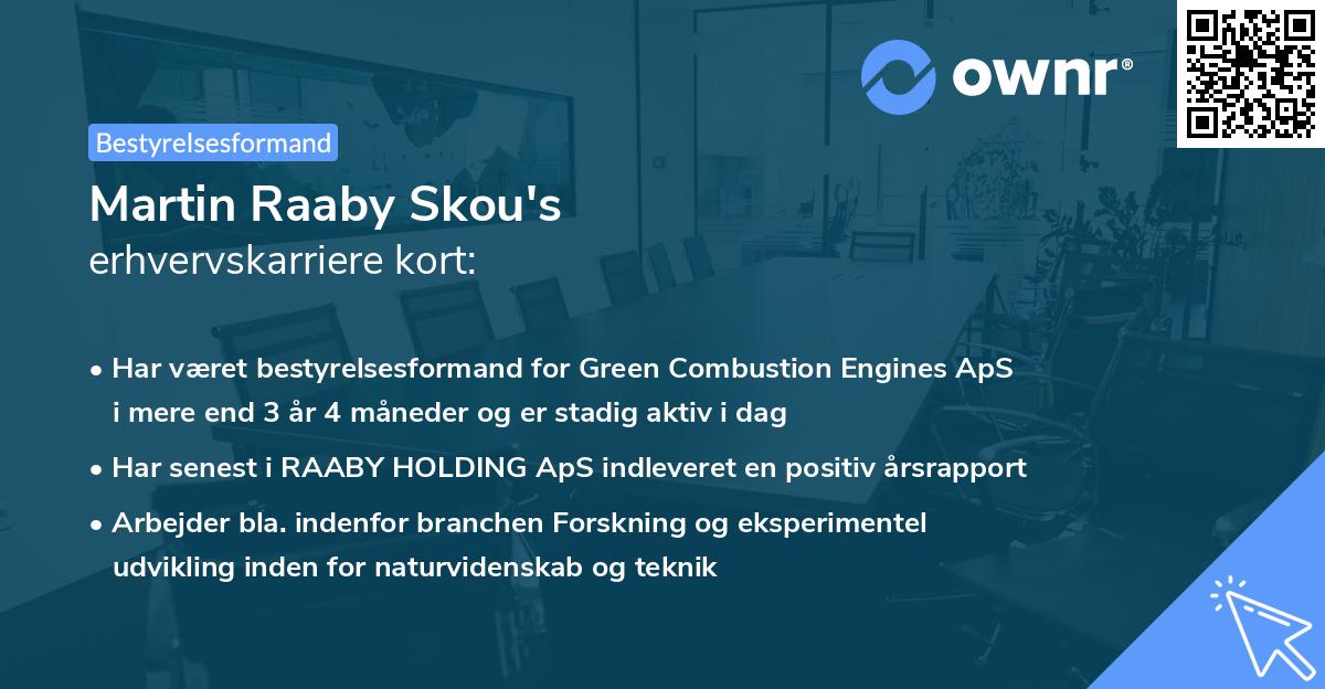 Martin Raaby Skou's erhvervskarriere kort