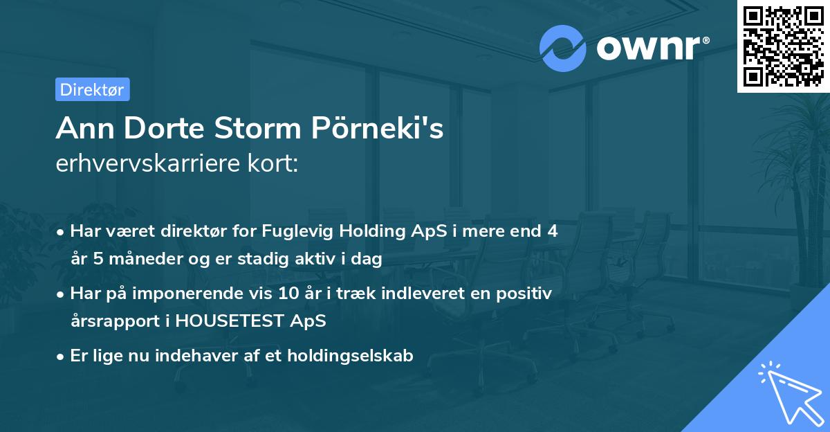 Ann Dorte Storm Pörneki's erhvervskarriere kort