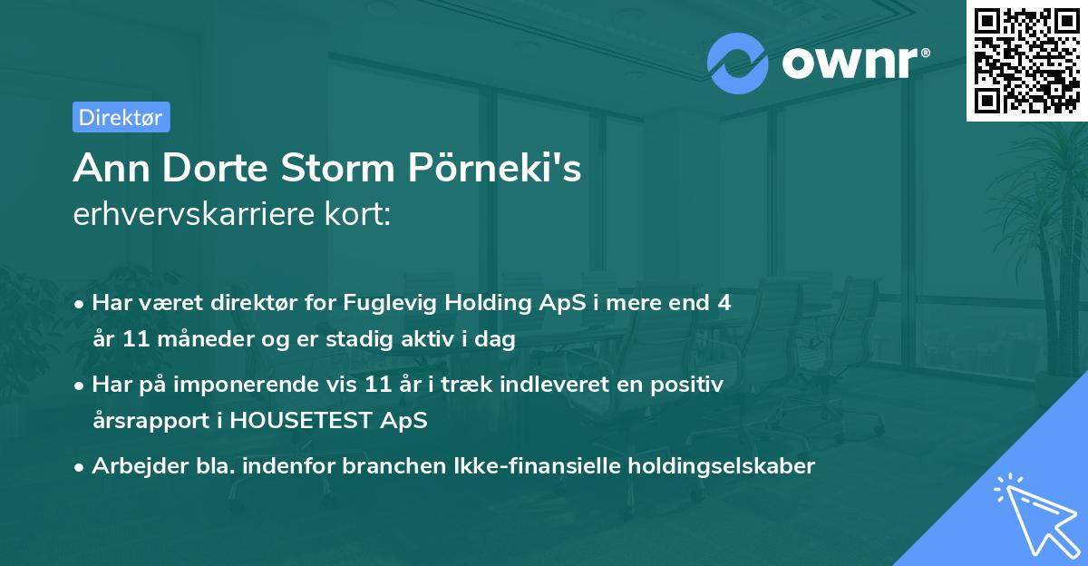 Ann Dorte Storm Pörneki's erhvervskarriere kort