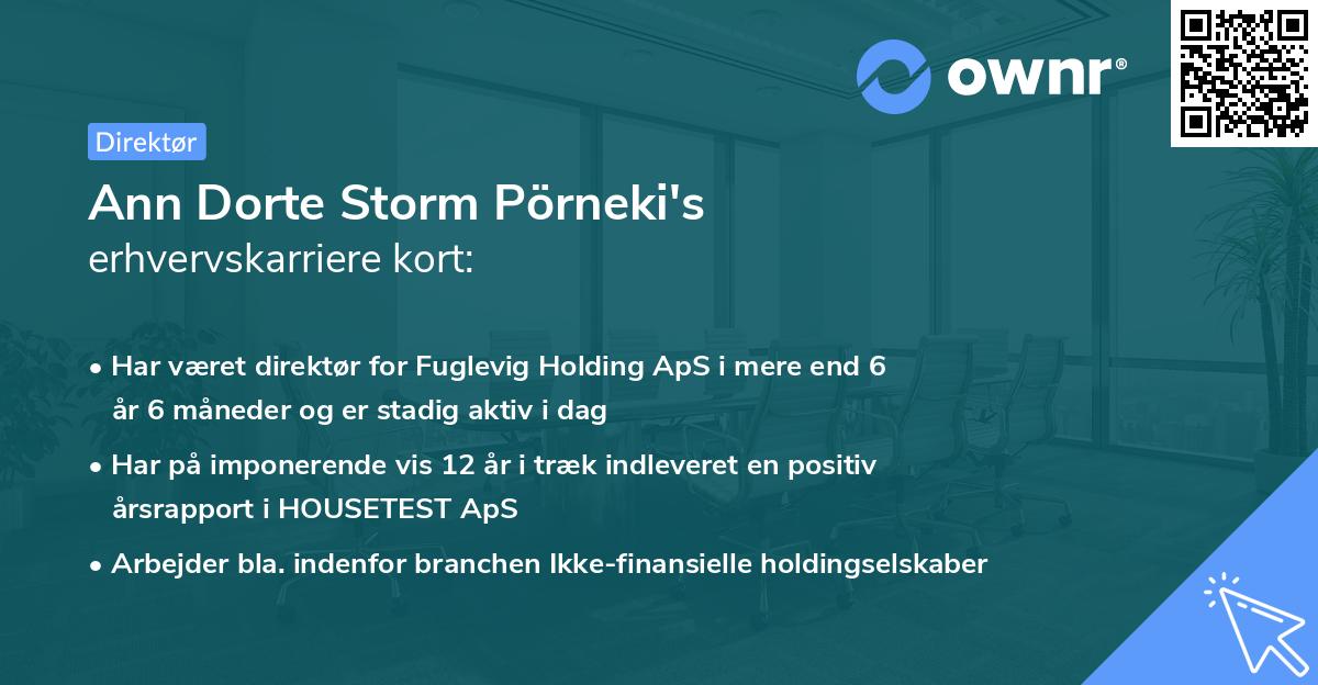 Ann Dorte Storm Pörneki's erhvervskarriere kort
