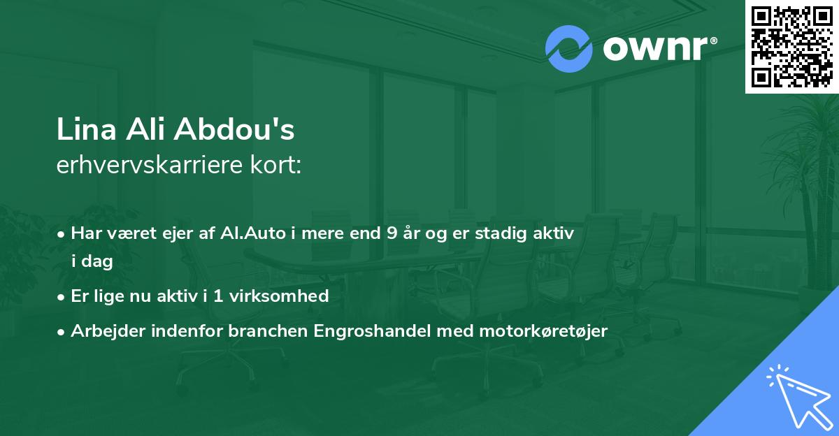 Lina Ali Abdou's erhvervskarriere kort