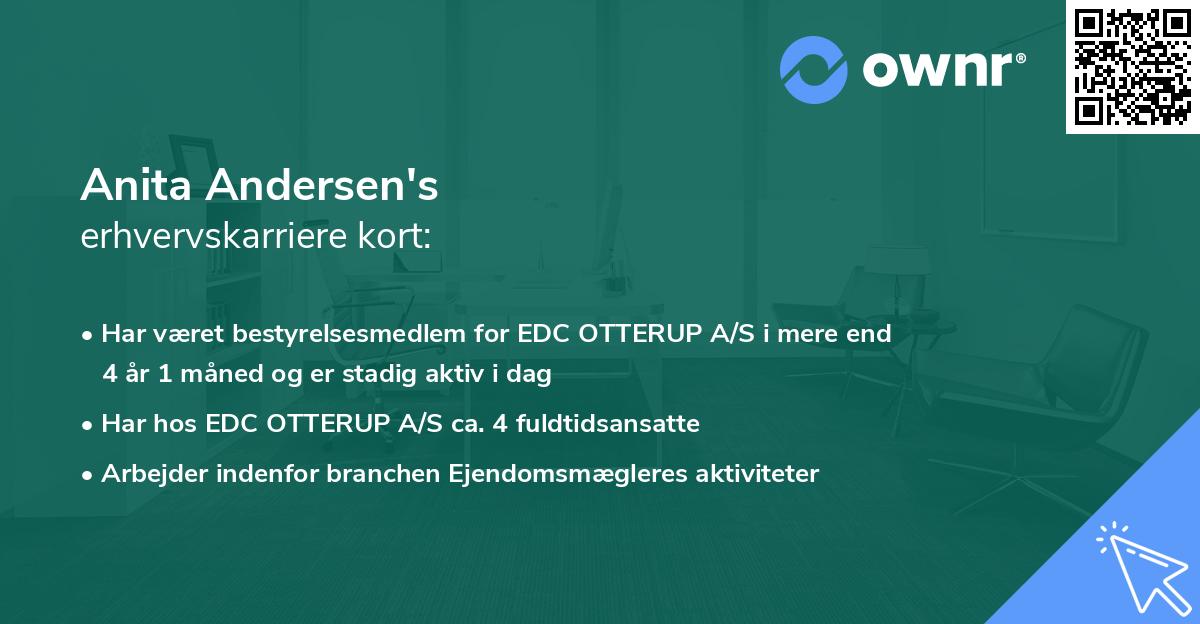 Anita Andersen's erhvervskarriere kort