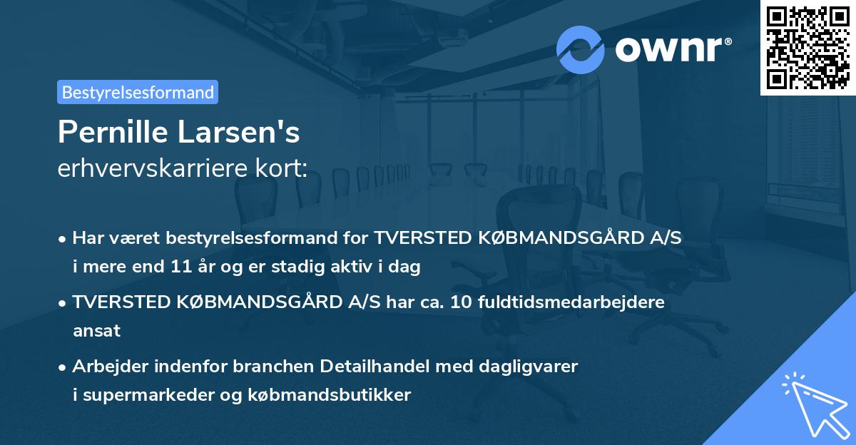 Pernille Larsen's erhvervskarriere kort