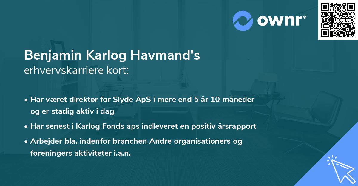Benjamin Karlog Havmand's erhvervskarriere kort