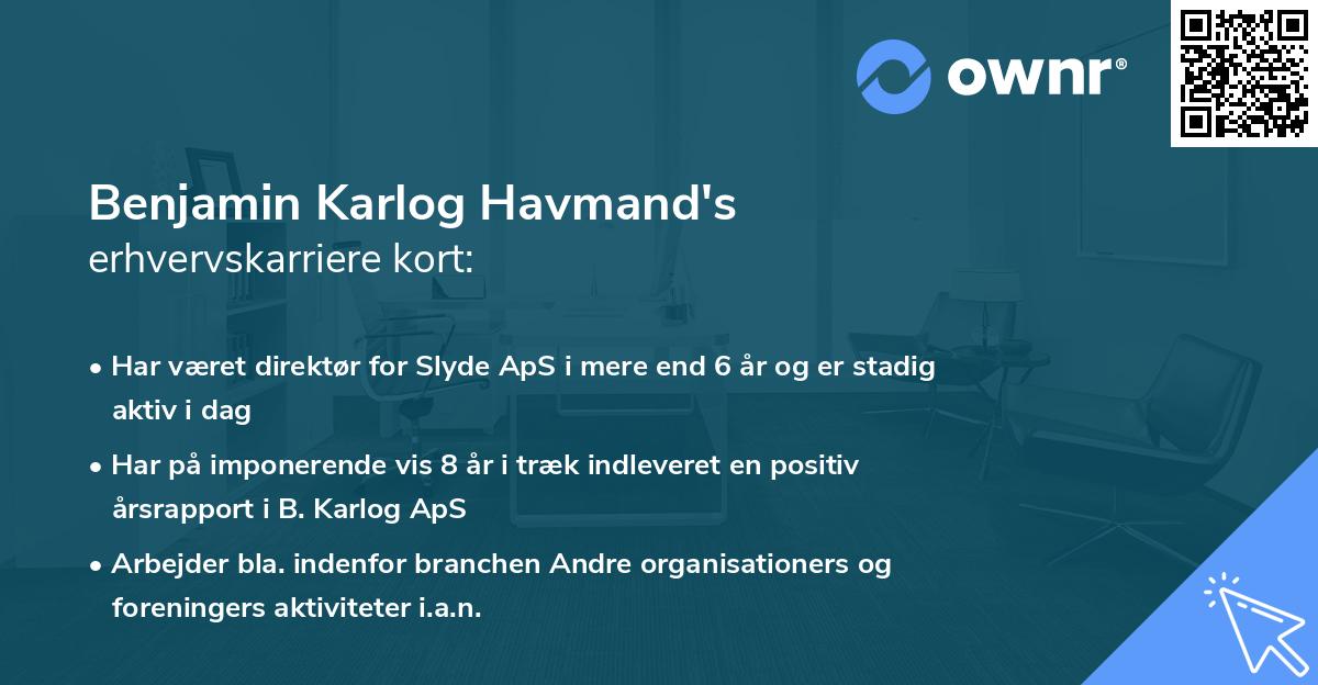 Benjamin Karlog Havmand's erhvervskarriere kort