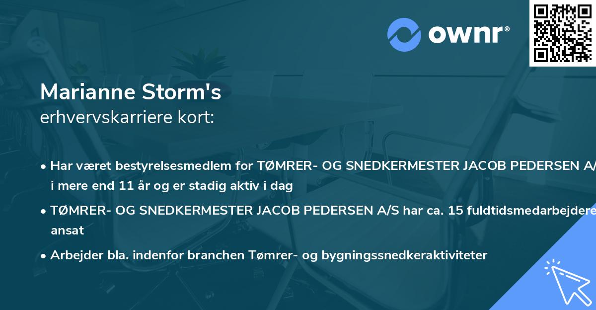 Marianne Storm's erhvervskarriere kort