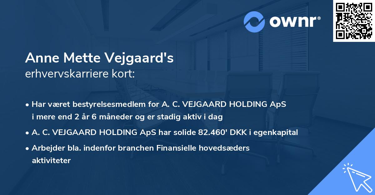 Anne Mette Vejgaard's erhvervskarriere kort