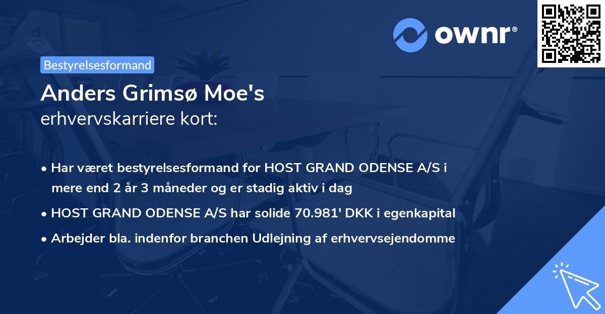 Anders Grimsø Moe's erhvervskarriere kort