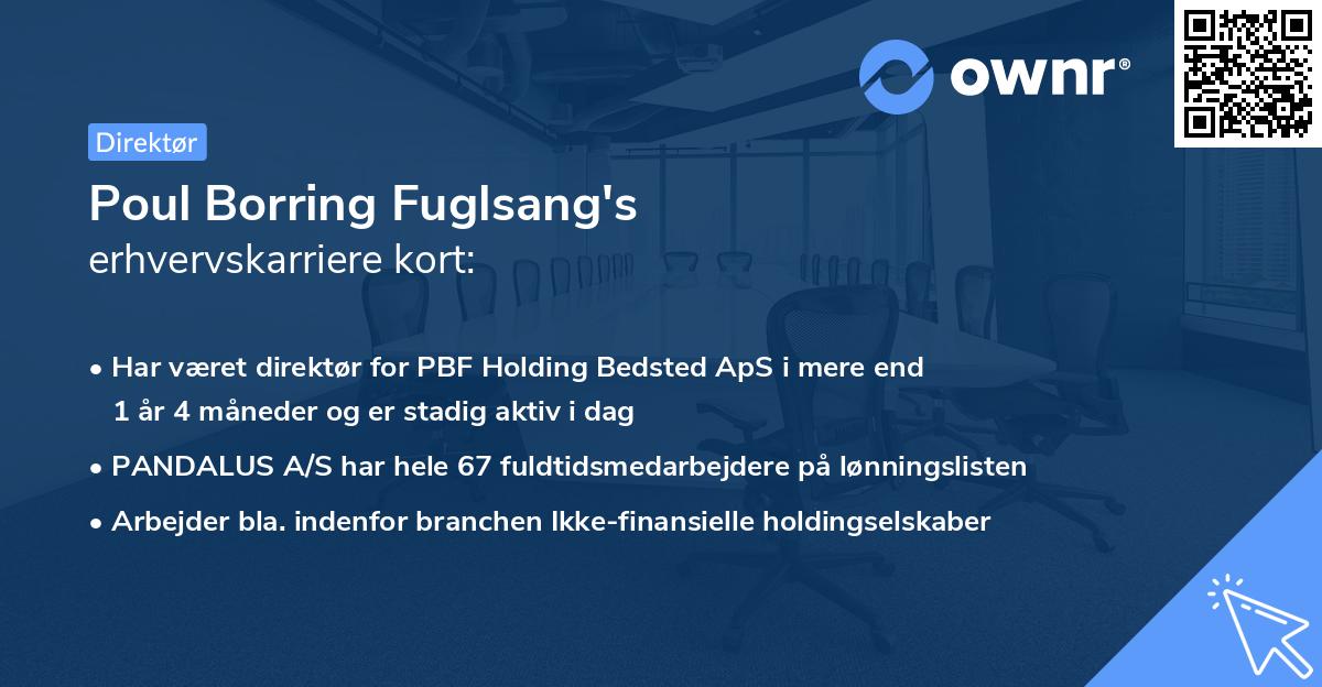 Poul Borring Fuglsang's erhvervskarriere kort