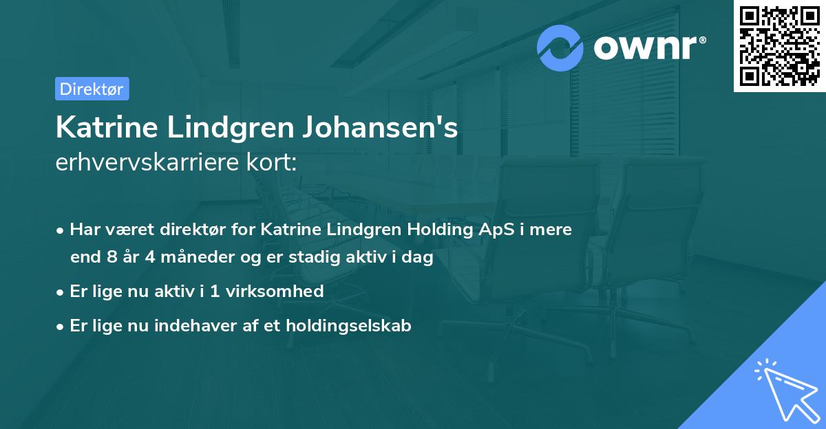 Katrine Lindgren Johansen's erhvervskarriere kort