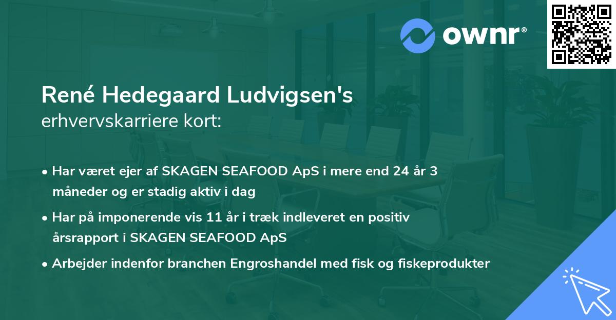 René Hedegaard Ludvigsen's erhvervskarriere kort