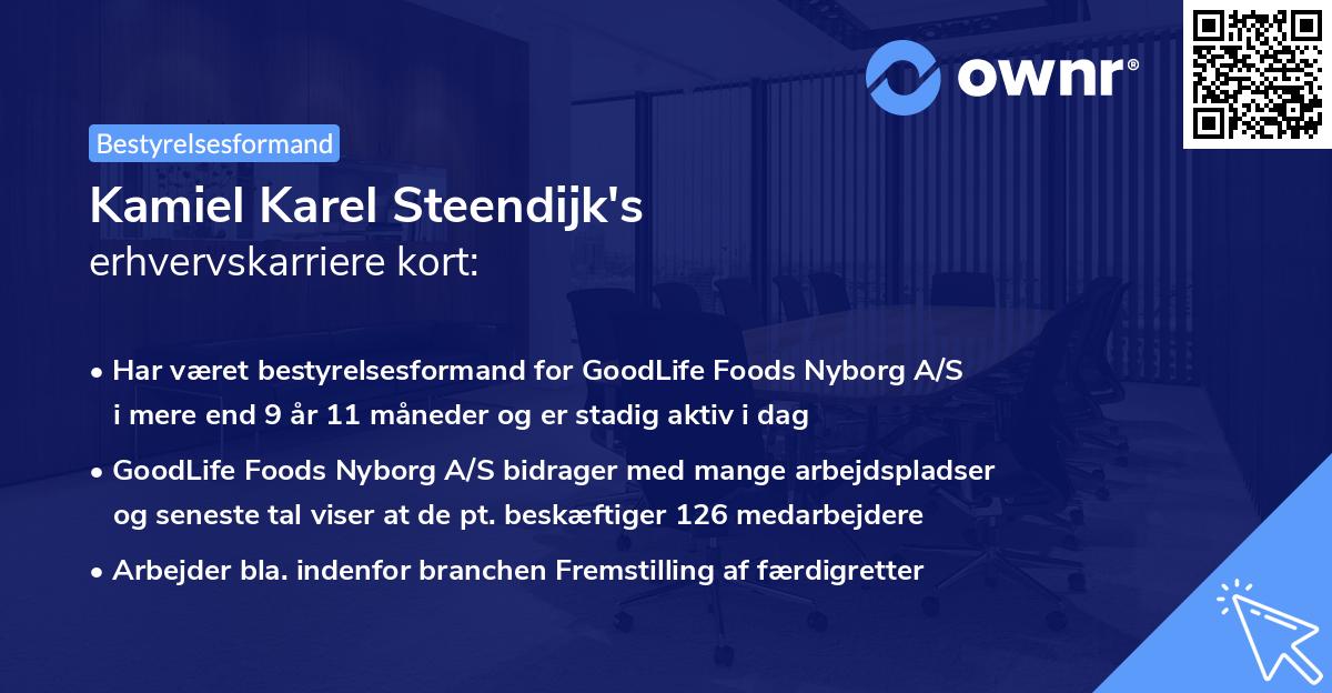 Kamiel Karel Steendijk's erhvervskarriere kort