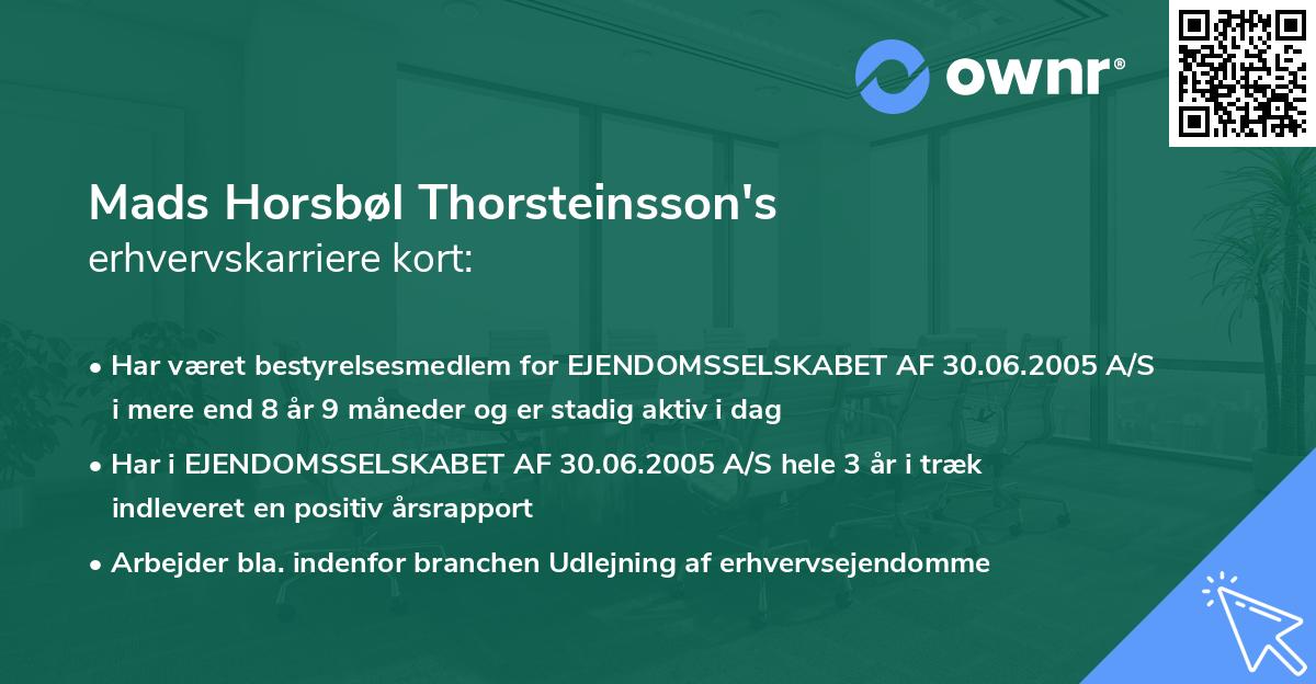 Mads Horsbøl Thorsteinsson's erhvervskarriere kort