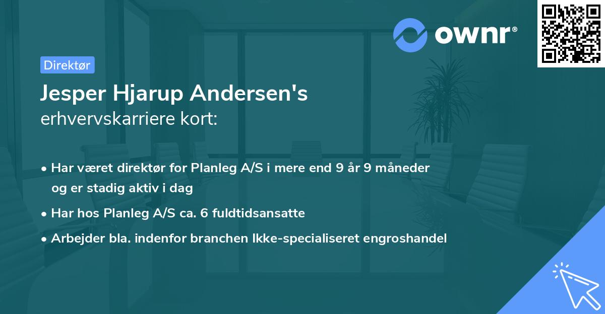 Jesper Hjarup Andersen's erhvervskarriere kort