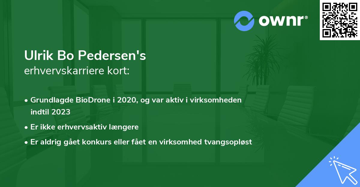 Ulrik Bo Pedersen's erhvervskarriere kort