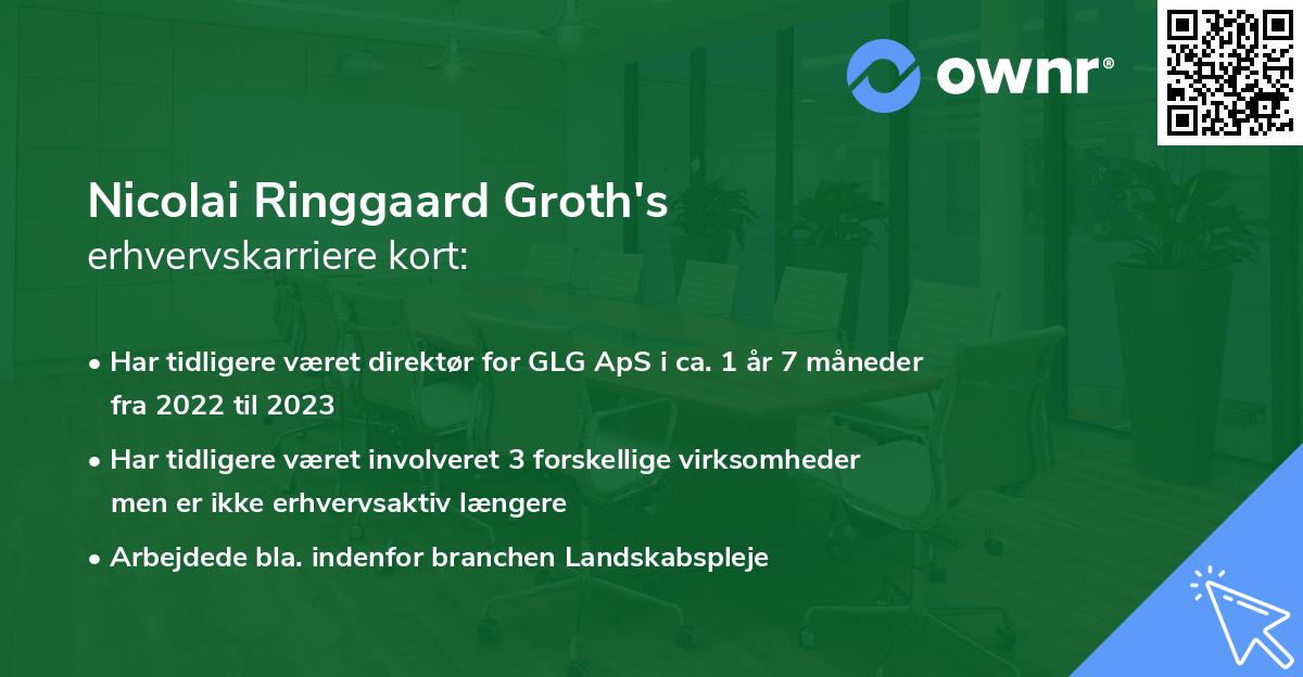 Nicolai Ringgaard Groth's erhvervskarriere kort
