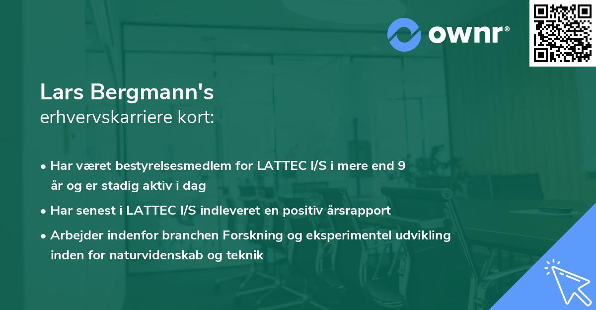 Lars Bergmann's erhvervskarriere kort