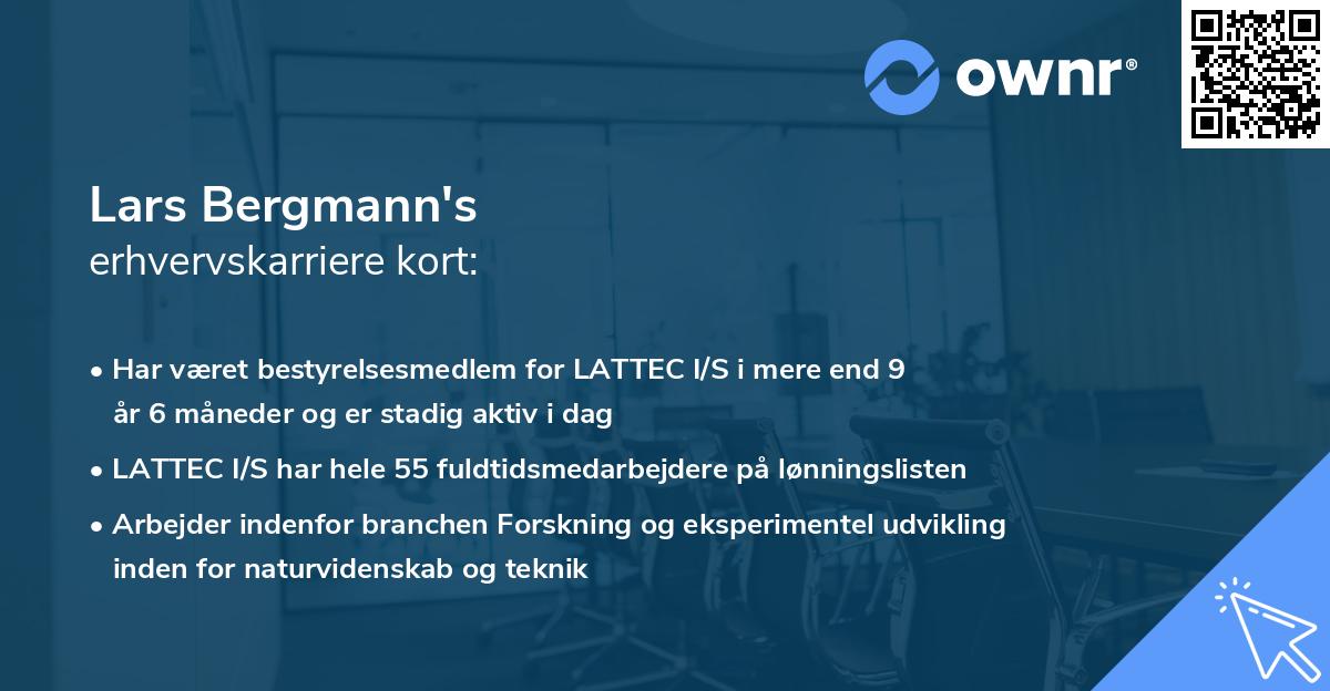 Lars Bergmann's erhvervskarriere kort