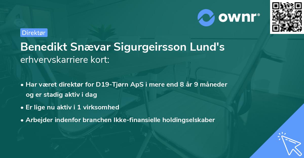 Benedikt Snævar Sigurgeirsson Lund's erhvervskarriere kort