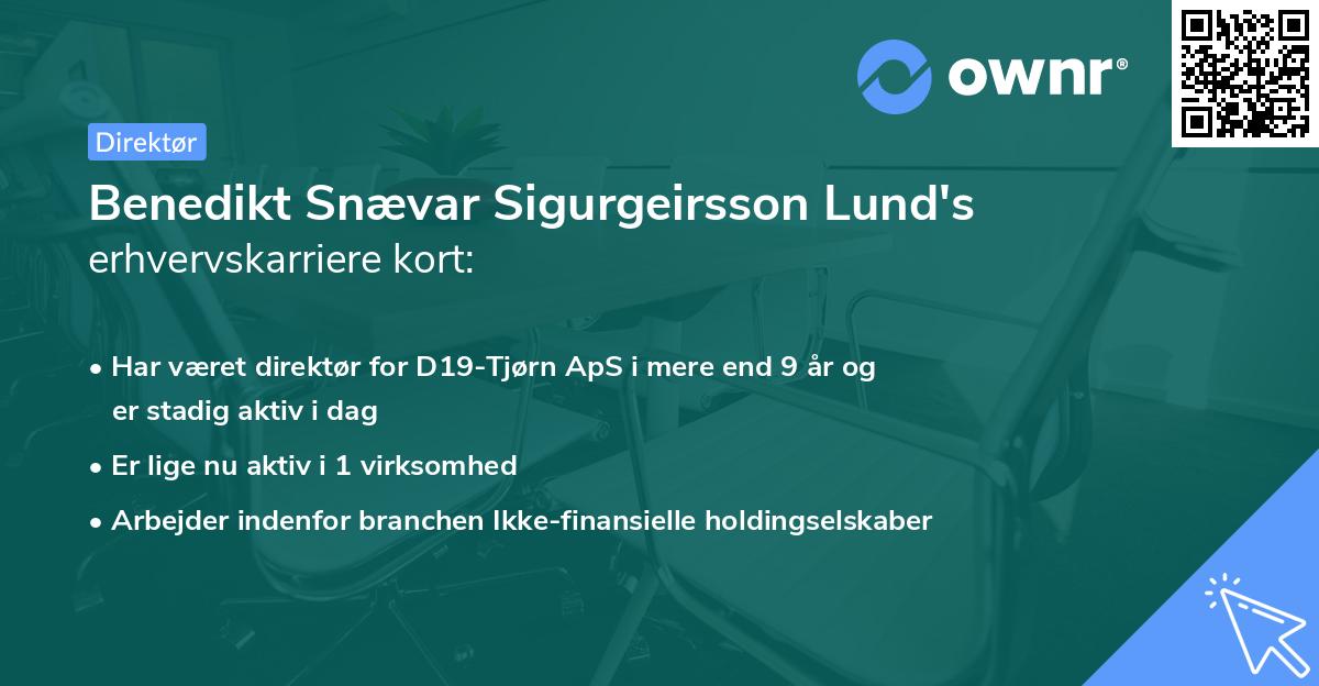 Benedikt Snævar Sigurgeirsson Lund's erhvervskarriere kort