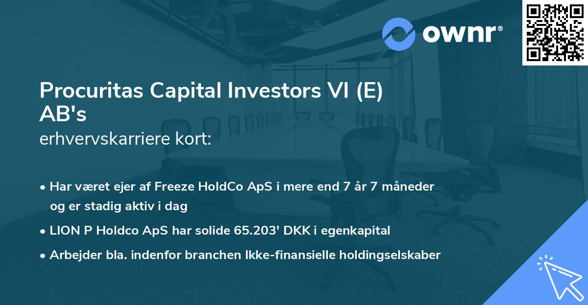 Procuritas Capital Investors VI (E) AB's erhvervskarriere kort