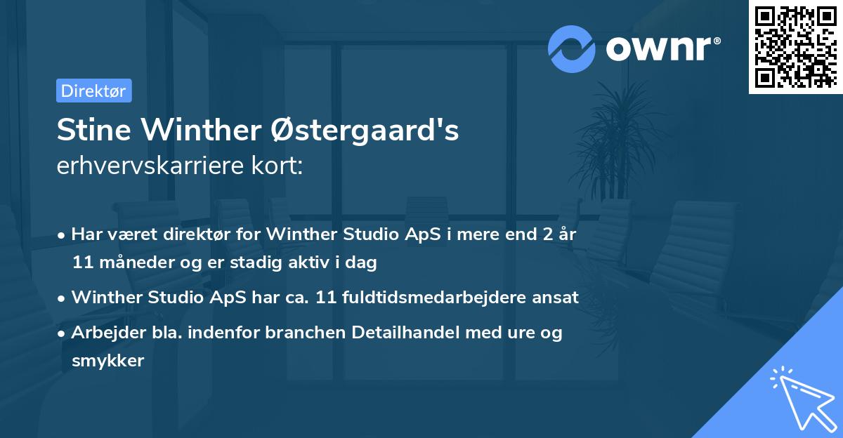 Stine Winther Østergaard's erhvervskarriere kort