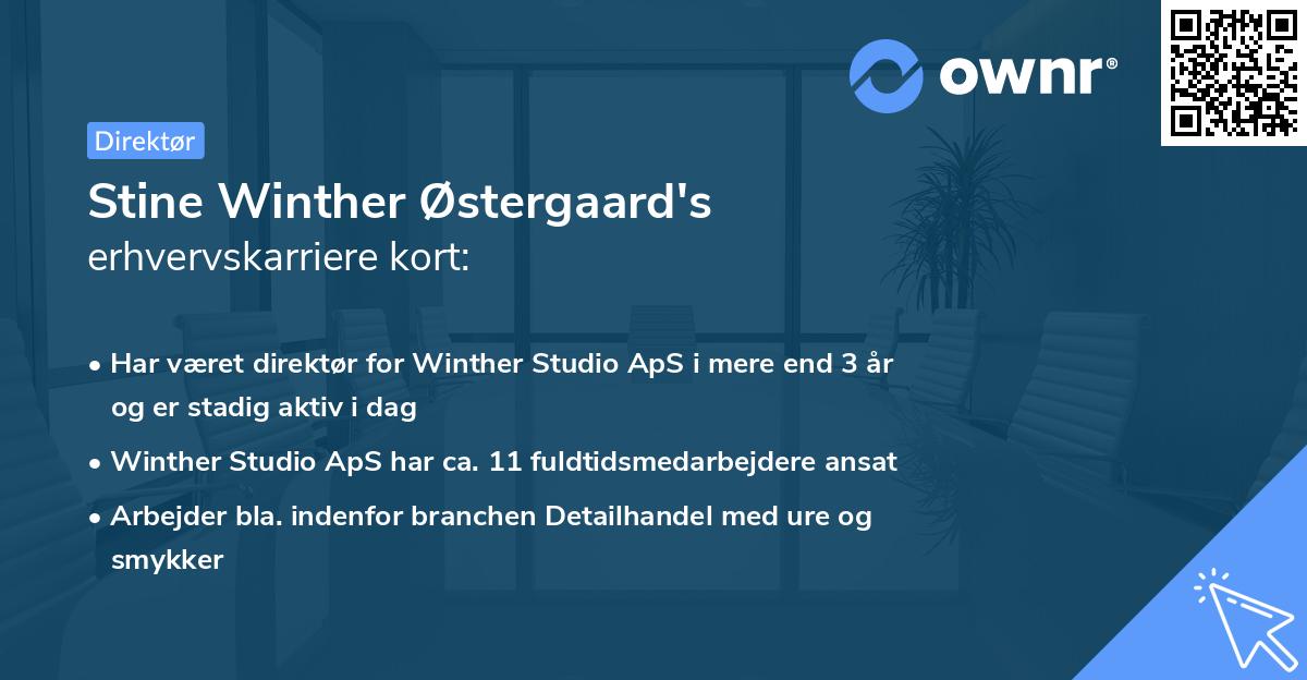 Stine Winther Østergaard's erhvervskarriere kort