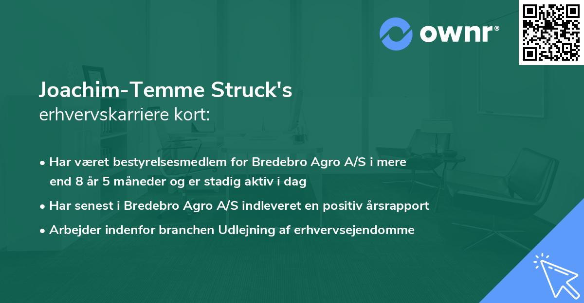 Joachim-Temme Struck's erhvervskarriere kort