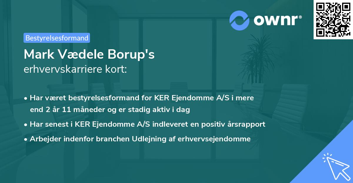 Mark Vædele Borup's erhvervskarriere kort