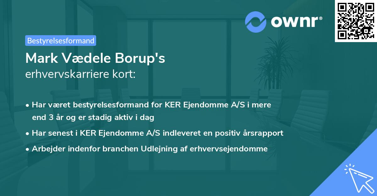 Mark Vædele Borup's erhvervskarriere kort