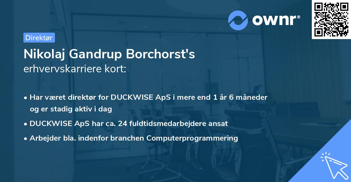 Nikolaj Gandrup Borchorst's erhvervskarriere kort