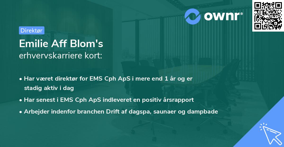 Emilie Aff Blom's erhvervskarriere kort