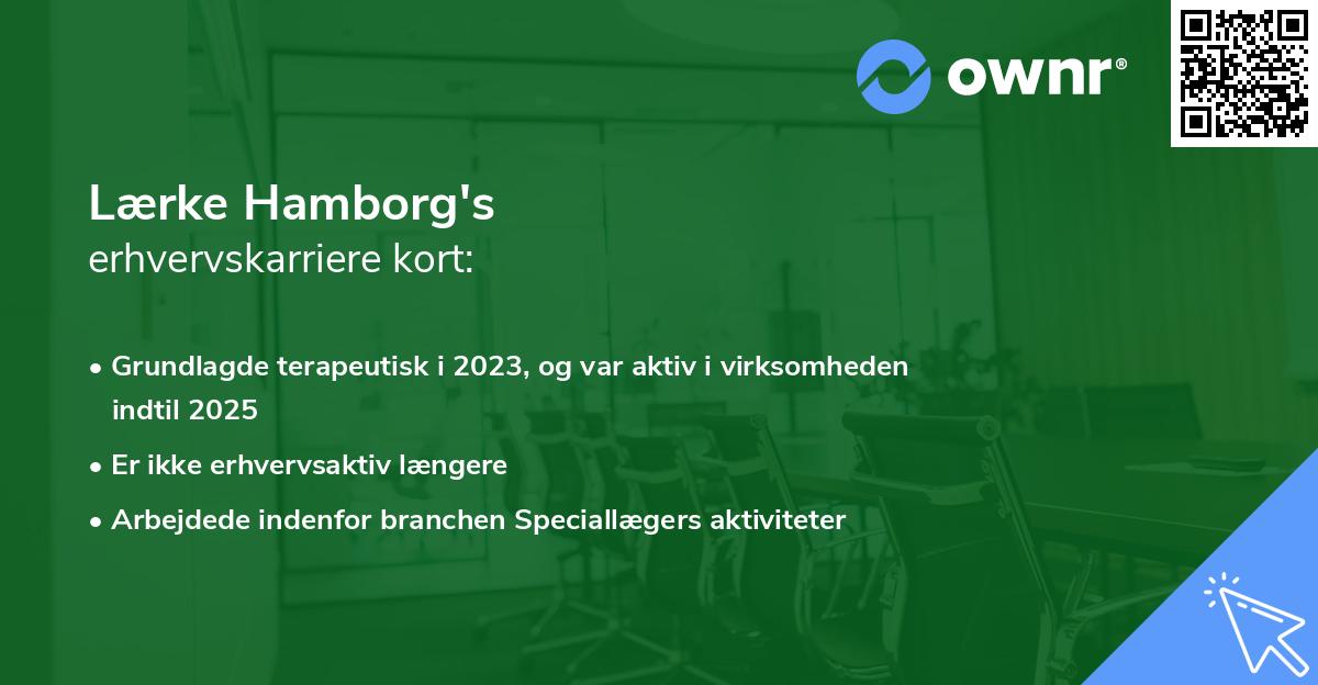 Lærke Hamborg's erhvervskarriere kort