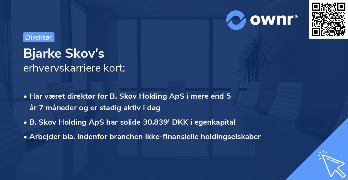 Bjarke Skov's erhvervskarriere kort