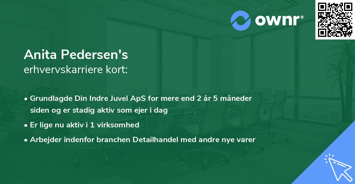 Anita Pedersen's erhvervskarriere kort