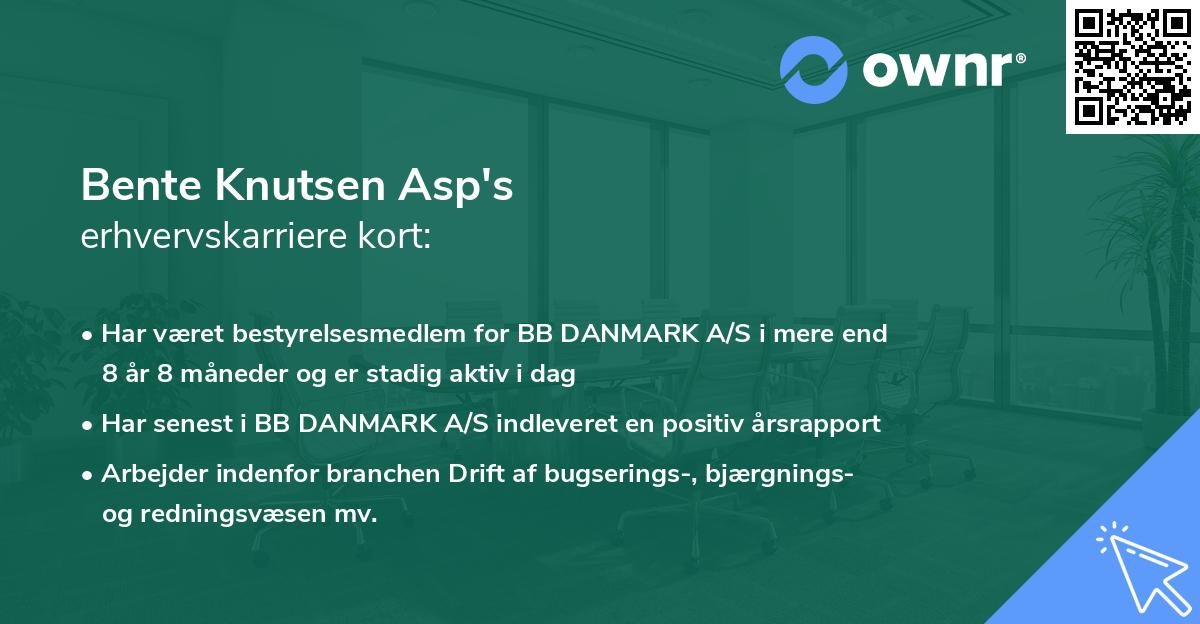 Bente Knutsen Asp's erhvervskarriere kort
