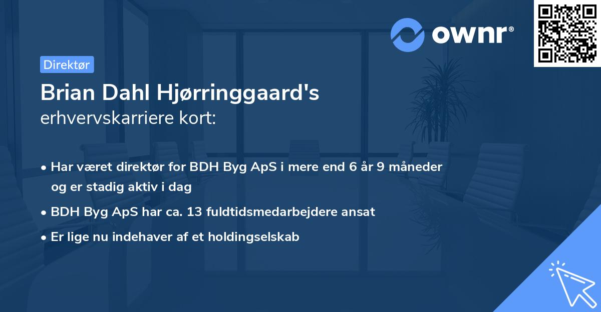 Brian Dahl Hjørringgaard's erhvervskarriere kort