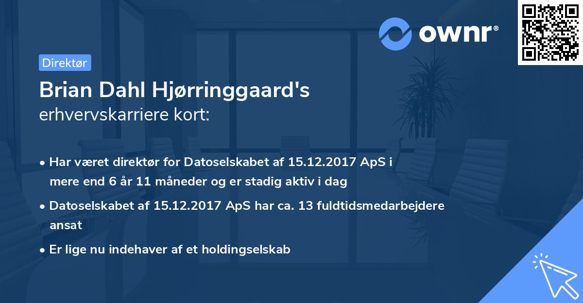 Brian Dahl Hjørringgaard's erhvervskarriere kort