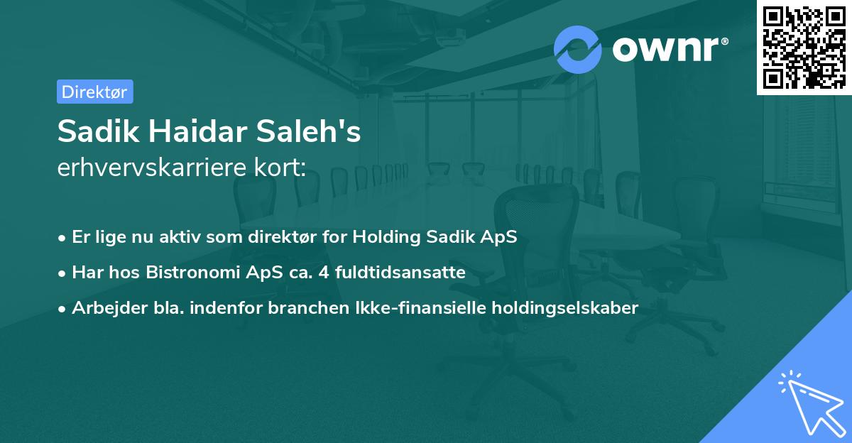 Sadik Haidar Saleh's erhvervskarriere kort