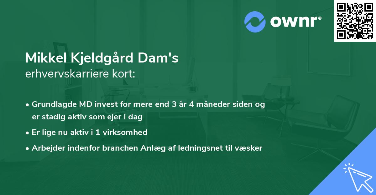 Mikkel Kjeldgård Dam's erhvervskarriere kort