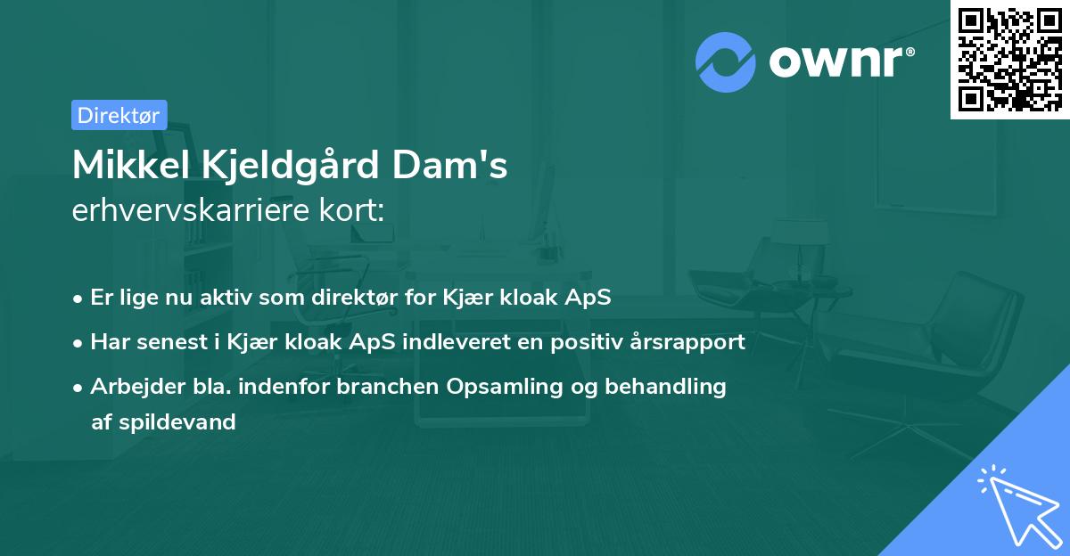 Mikkel Kjeldgård Dam's erhvervskarriere kort