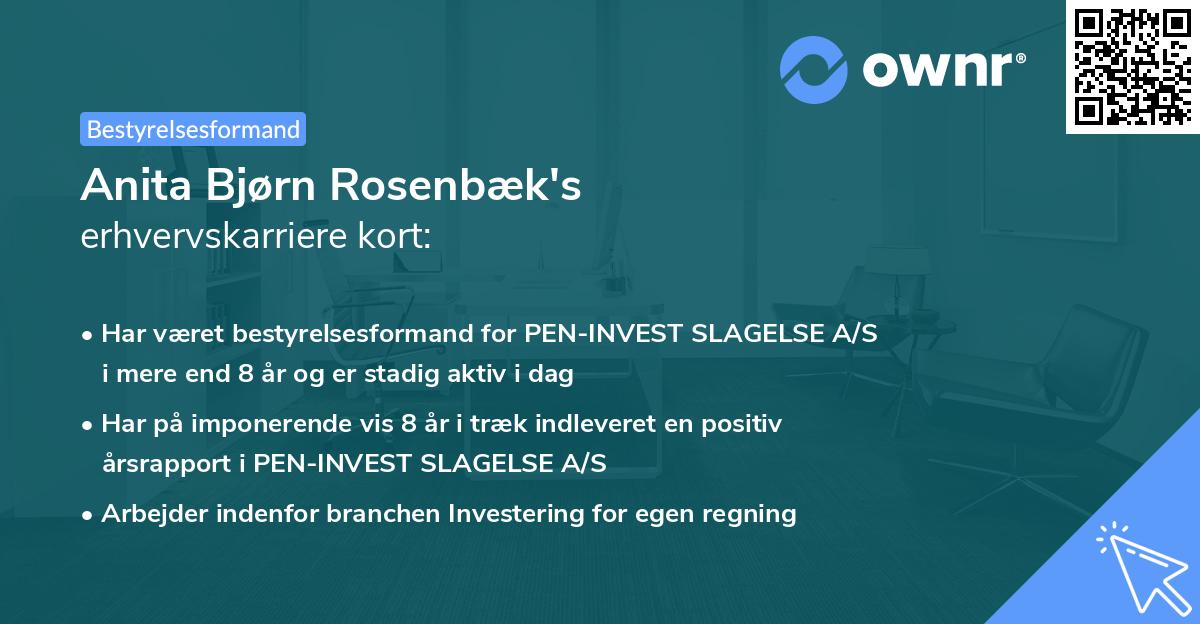Anita Bjørn Rosenbæk's erhvervskarriere kort