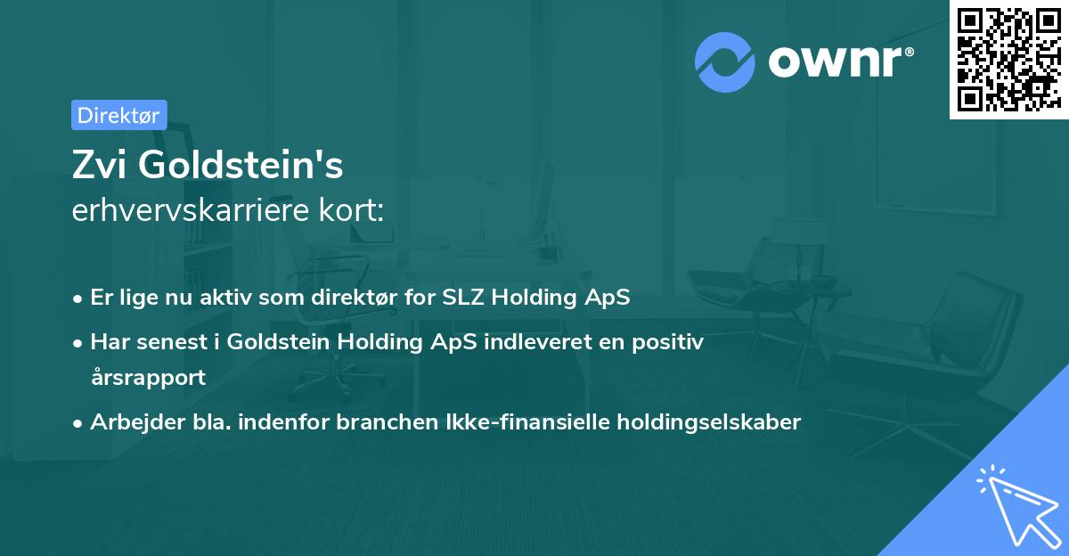 Zvi Goldstein's erhvervskarriere kort