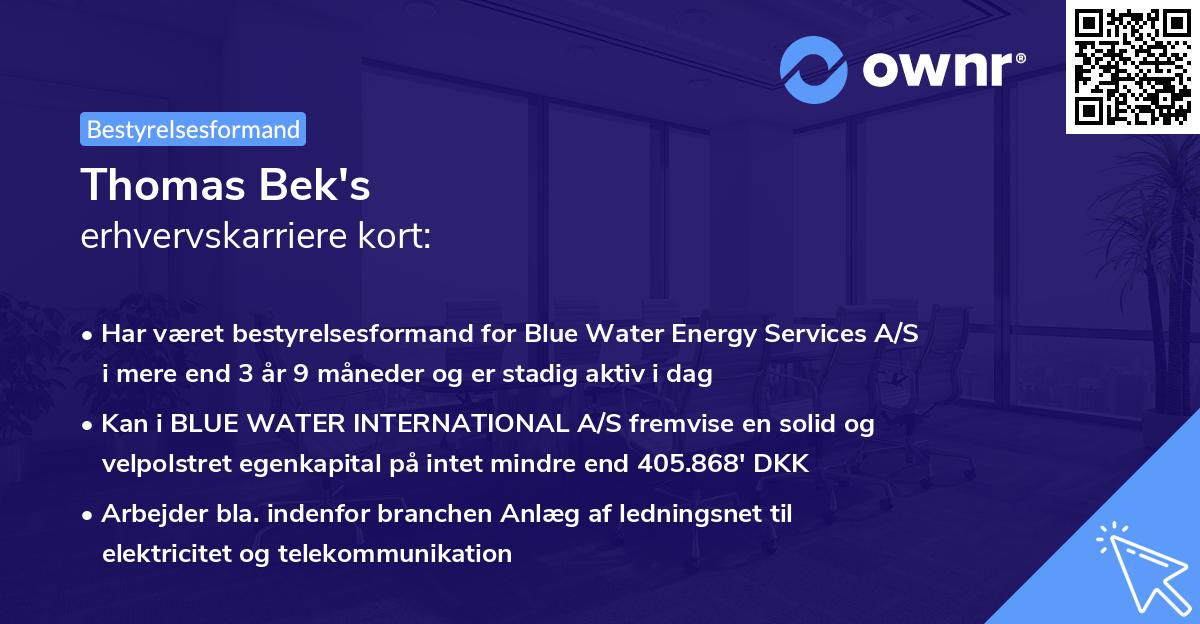 Thomas Bek's erhvervskarriere kort