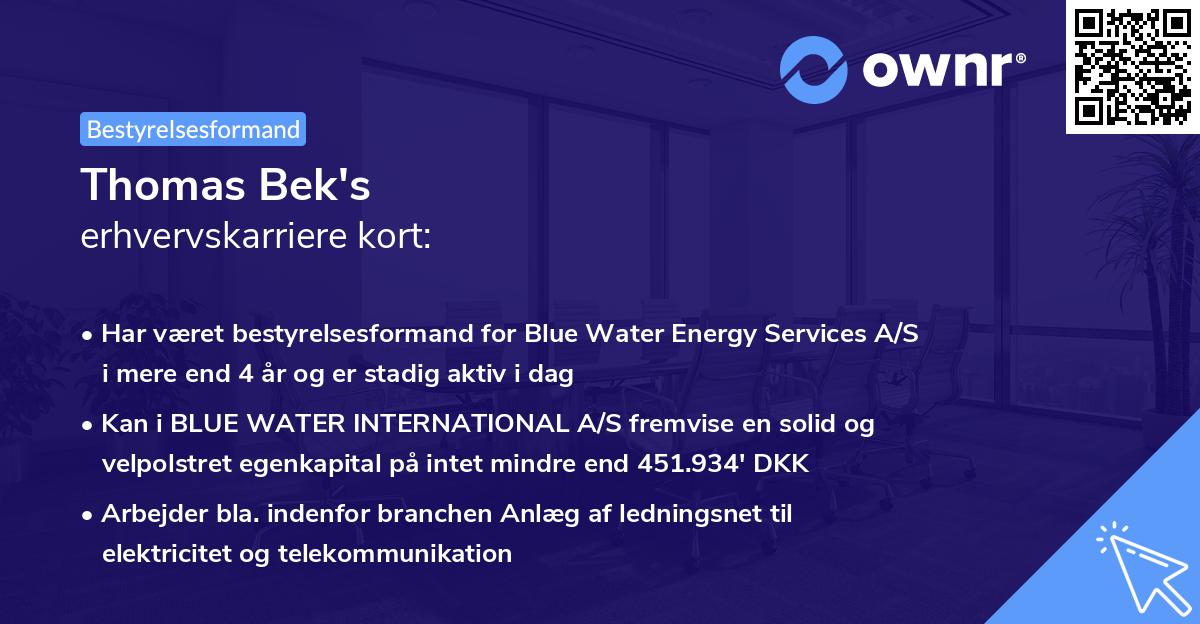 Thomas Bek's erhvervskarriere kort