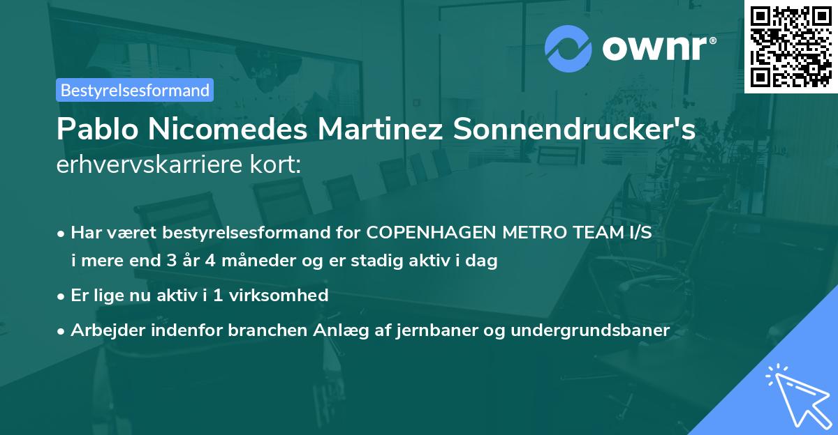 Pablo Nicomedes Martinez Sonnendrucker's erhvervskarriere kort